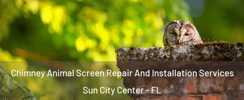  Chimney Animal Screen Repair And Installation Services Sun City Center - FL