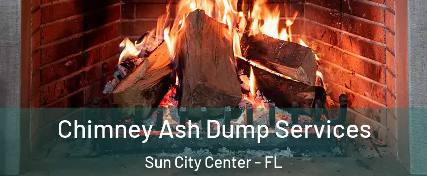  Chimney Ash Dump Services Sun City Center - FL