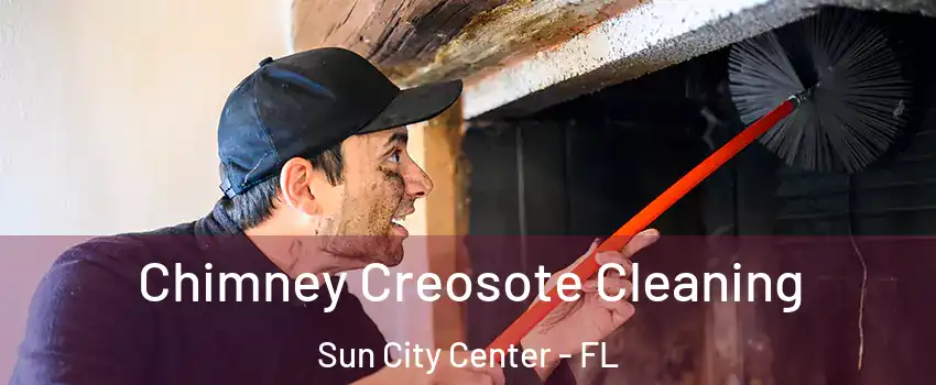  Chimney Creosote Cleaning Sun City Center - FL