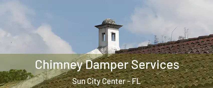  Chimney Damper Services Sun City Center - FL