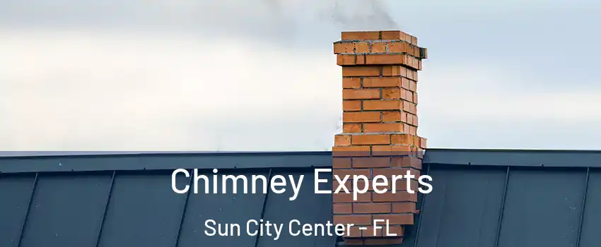  Chimney Experts Sun City Center - FL