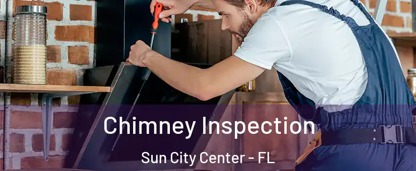 Chimney Inspection Sun City Center - FL