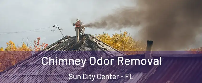  Chimney Odor Removal Sun City Center - FL