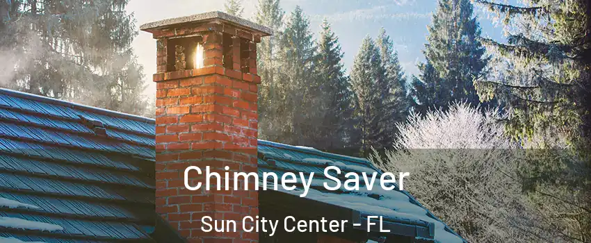  Chimney Saver Sun City Center - FL