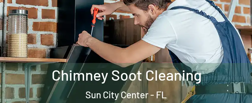  Chimney Soot Cleaning Sun City Center - FL