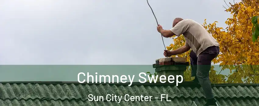  Chimney Sweep Sun City Center - FL