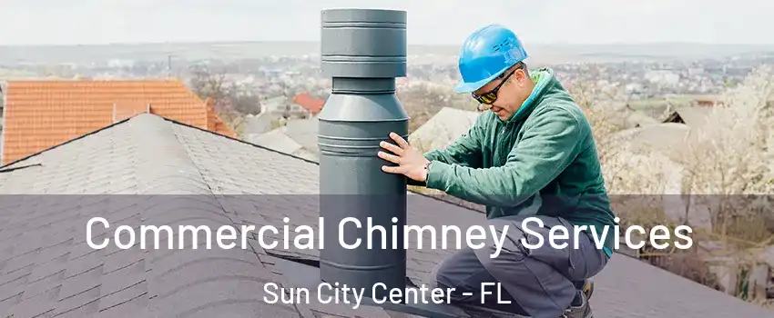  Commercial Chimney Services Sun City Center - FL