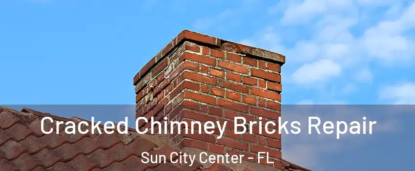  Cracked Chimney Bricks Repair Sun City Center - FL