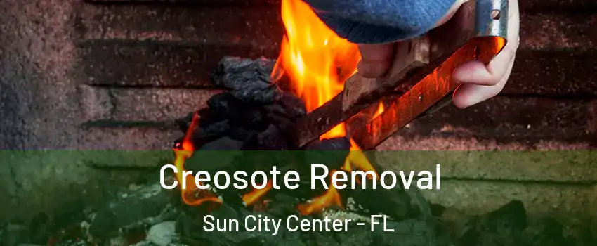  Creosote Removal Sun City Center - FL