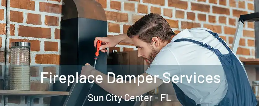 Fireplace Damper Services Sun City Center - FL
