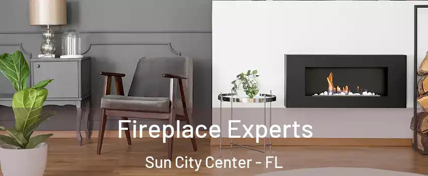  Fireplace Experts Sun City Center - FL