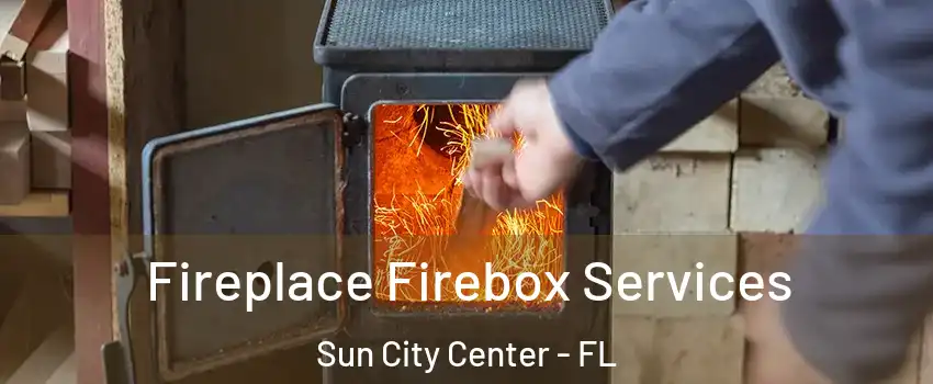  Fireplace Firebox Services Sun City Center - FL
