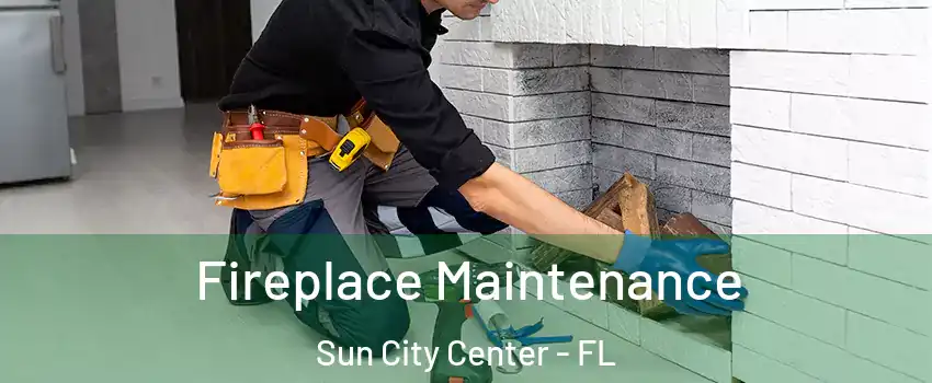  Fireplace Maintenance Sun City Center - FL