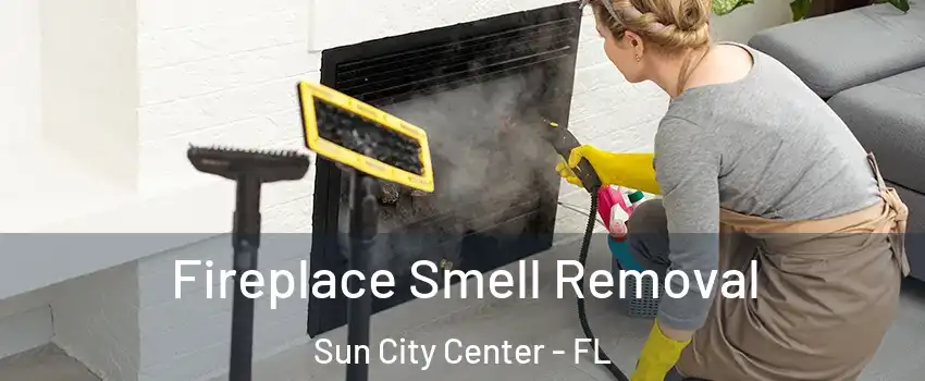 Fireplace Smell Removal Sun City Center - FL