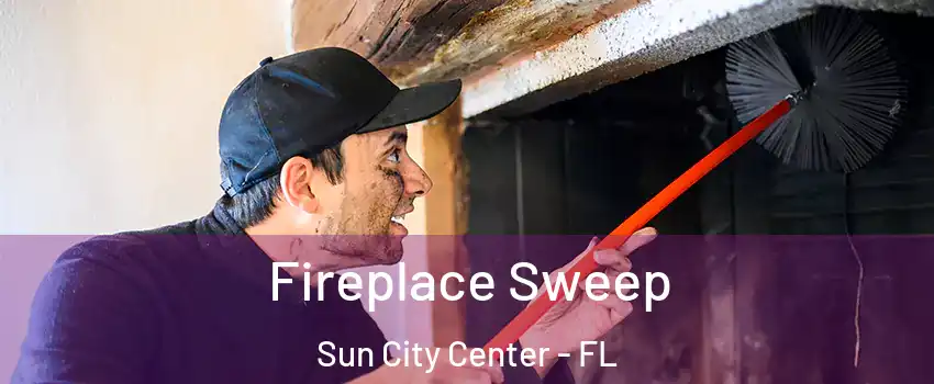  Fireplace Sweep Sun City Center - FL