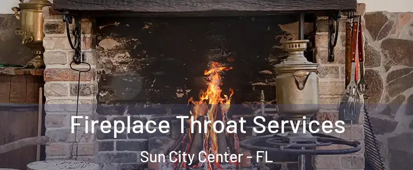  Fireplace Throat Services Sun City Center - FL