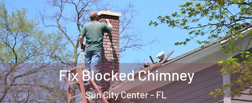  Fix Blocked Chimney Sun City Center - FL