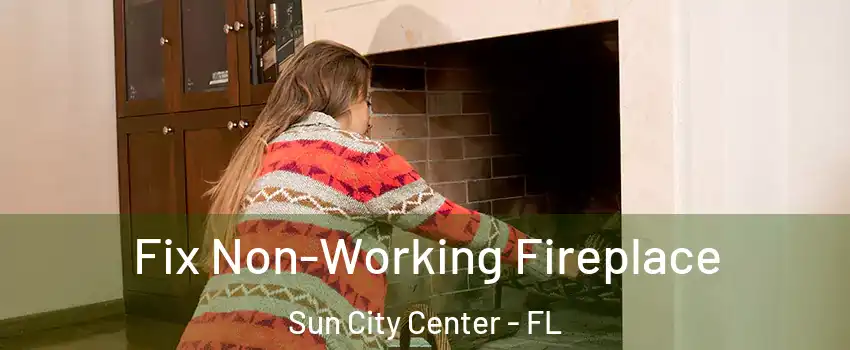  Fix Non-Working Fireplace Sun City Center - FL
