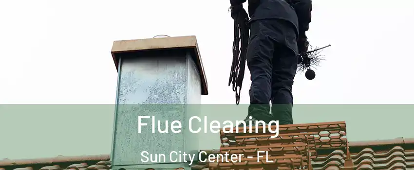 Flue Cleaning Sun City Center - FL