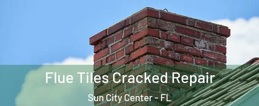  Flue Tiles Cracked Repair Sun City Center - FL