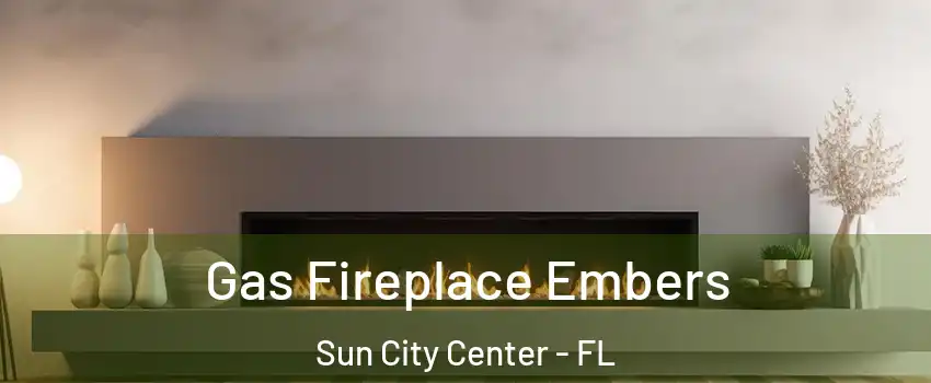  Gas Fireplace Embers Sun City Center - FL
