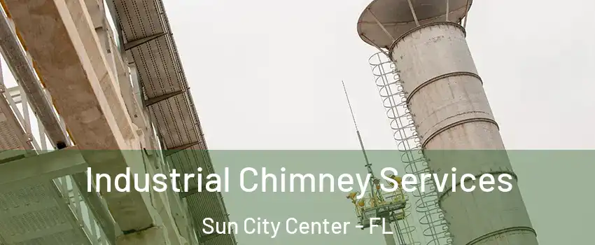  Industrial Chimney Services Sun City Center - FL