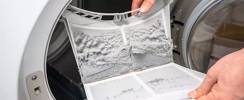 Best Dryer Lint Removal Company in Sun City Center, Florida