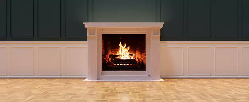 Napoleon Electric Fireplaces Inspection Service in Sun City Center, Florida