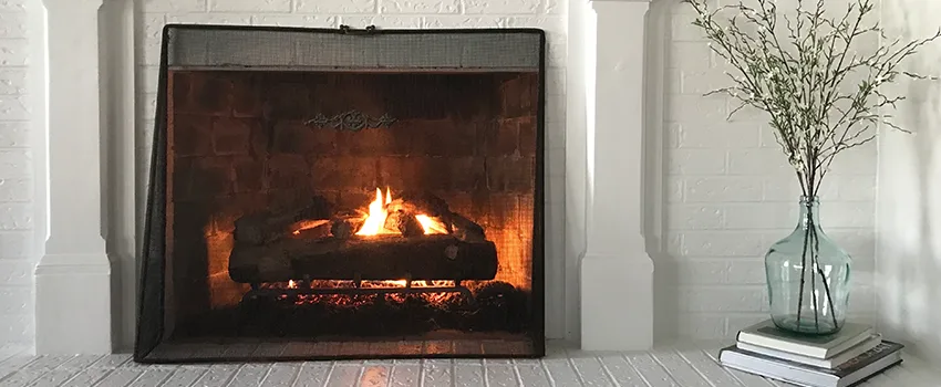 Cost-Effective Fireplace Mantel Inspection And Maintenance in Sun City Center, FL