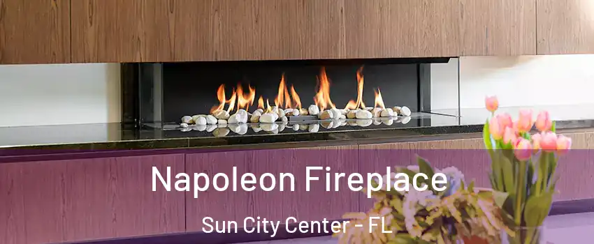  Napoleon Fireplace Sun City Center - FL