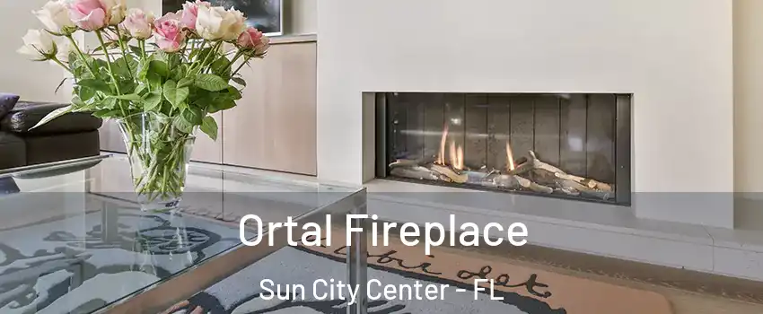  Ortal Fireplace Sun City Center - FL