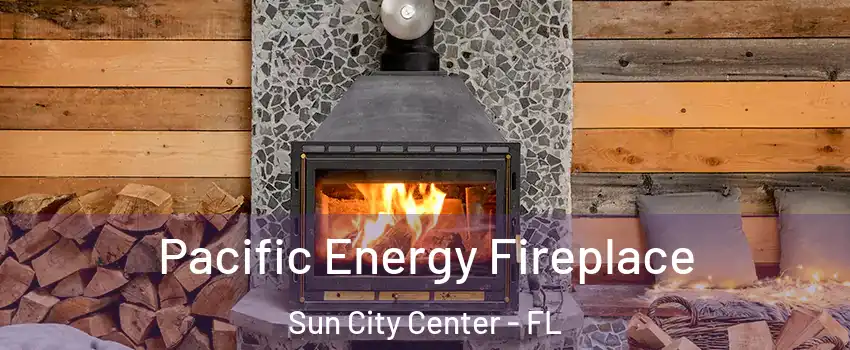  Pacific Energy Fireplace Sun City Center - FL