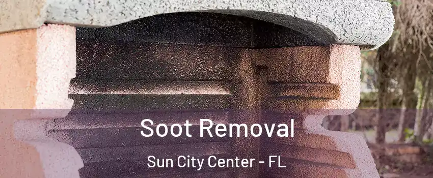  Soot Removal Sun City Center - FL