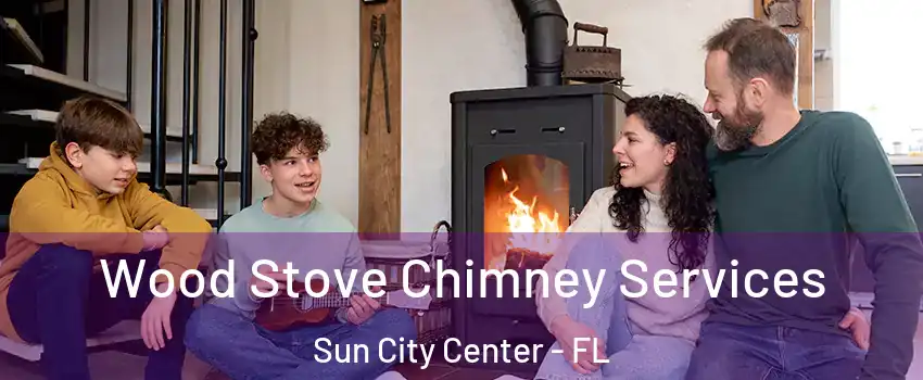  Wood Stove Chimney Services Sun City Center - FL